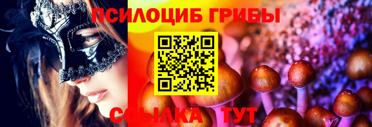 Родники  Псилоцибиновые грибы Psilocybe  Галлюциногенные грибы Magic Shrooms  Вход с VPN 